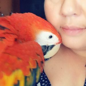 Meet your Posher, Lara